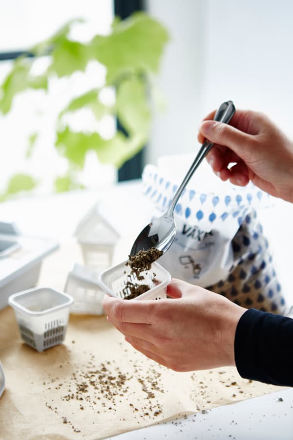 módulo de cultivo