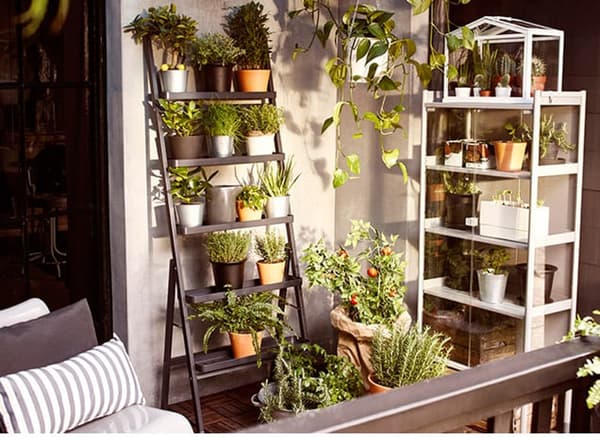 Moestuin op balkon - tips - IKEA wooninspiratie 