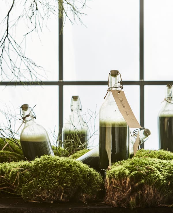 Moss and branches sit in a window with glass bottles filled with green juice.