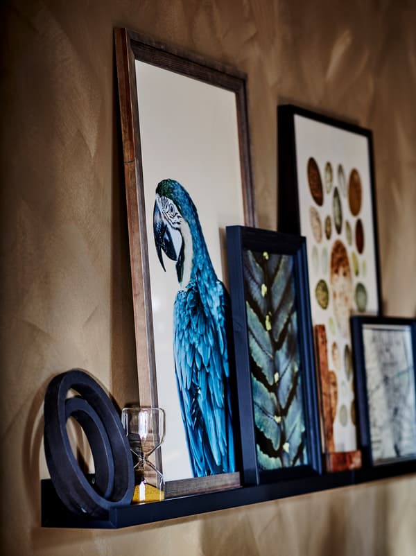 ส่วนของผนังสีน้ำตาลที่มีชั้นวางรูปภาพ MOSSLANDA/มอสลันดา สีดำวางงานศิลปะและภาพศิลปะในกรอบหลายแบบ