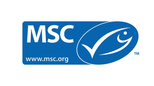 MSC certifikát