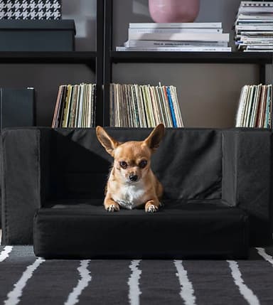 Muebles para mascotas