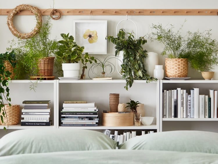 How To Choose The Right Indoor Plants IKEA CA
