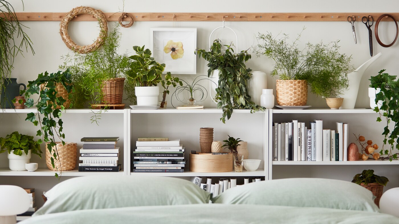 How To Choose The Right Indoor Plants IKEA CA