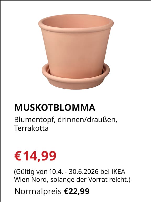 MUSKOTBLOMMA
Blumentopf
€14,99 statt €22,99