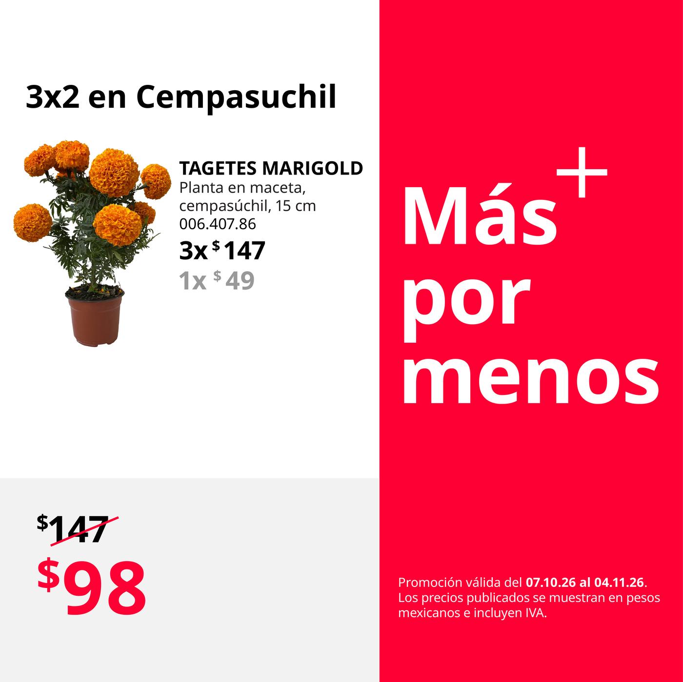 Mx_FY27_Oct_Bundle_Cempasúchil