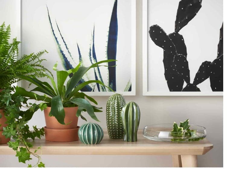 ナチュラル系インテリアに似合う、 観葉植物 - IKEA