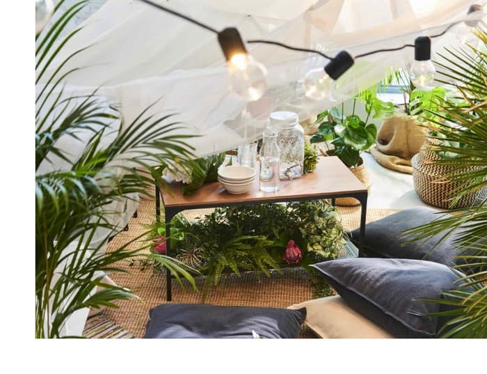 ナチュラル系インテリアに似合う、 観葉植物 - IKEA