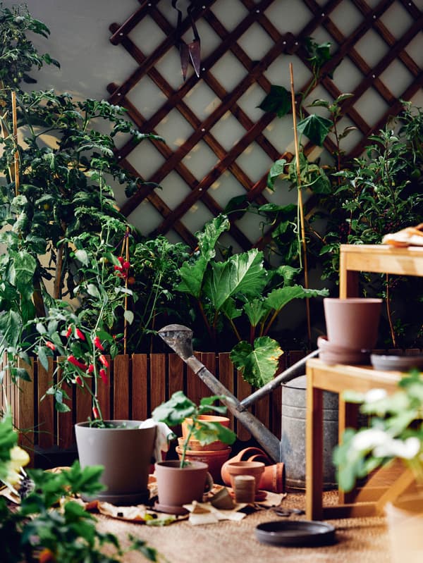 Na balkóne je kvetináč s mriežkou na popínavé rastliny ASKHOLMEN, pred ním je kanvica a niekoľko kvetináčov.