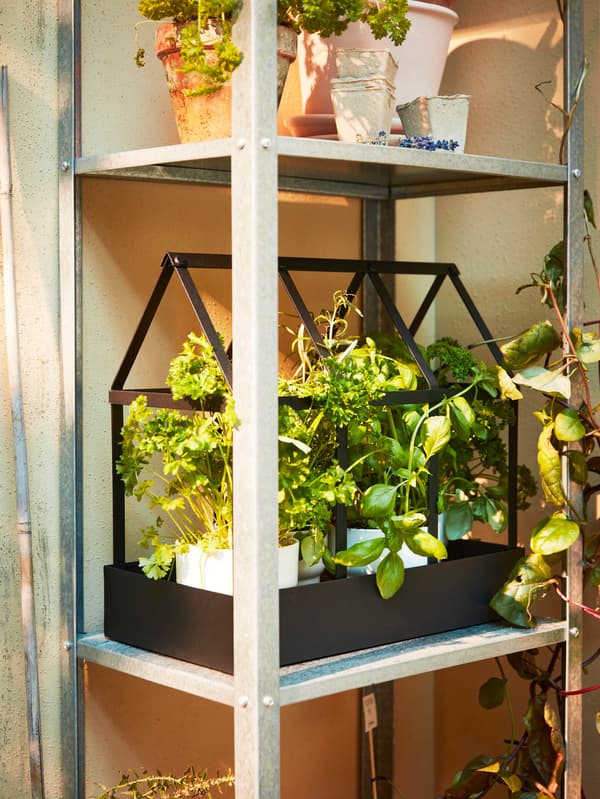 Na polici na balkóne stojí čierny dekoratívny skleník SENAPSKÅL.