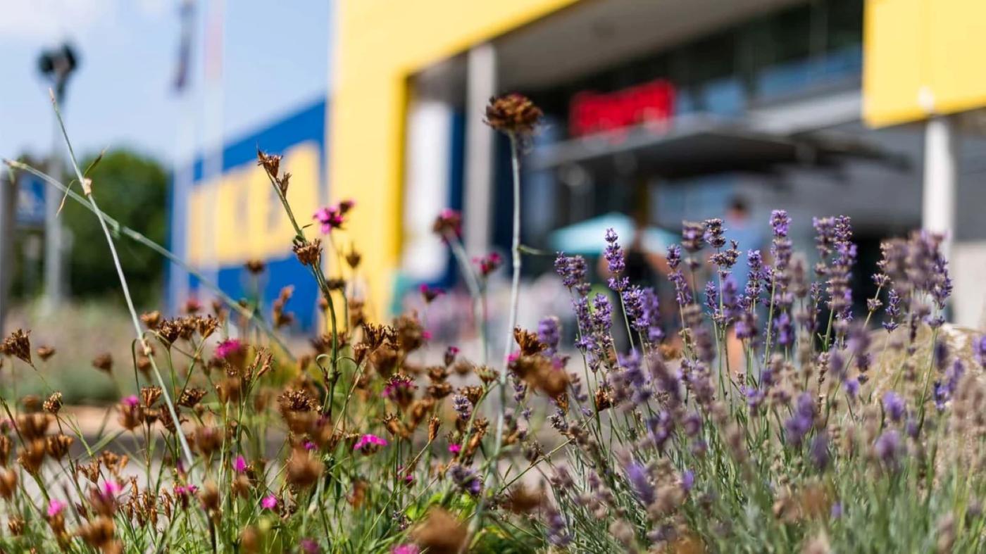Was Kostet Parken Bei Ikea In Hamburg Altona www.ikea.com