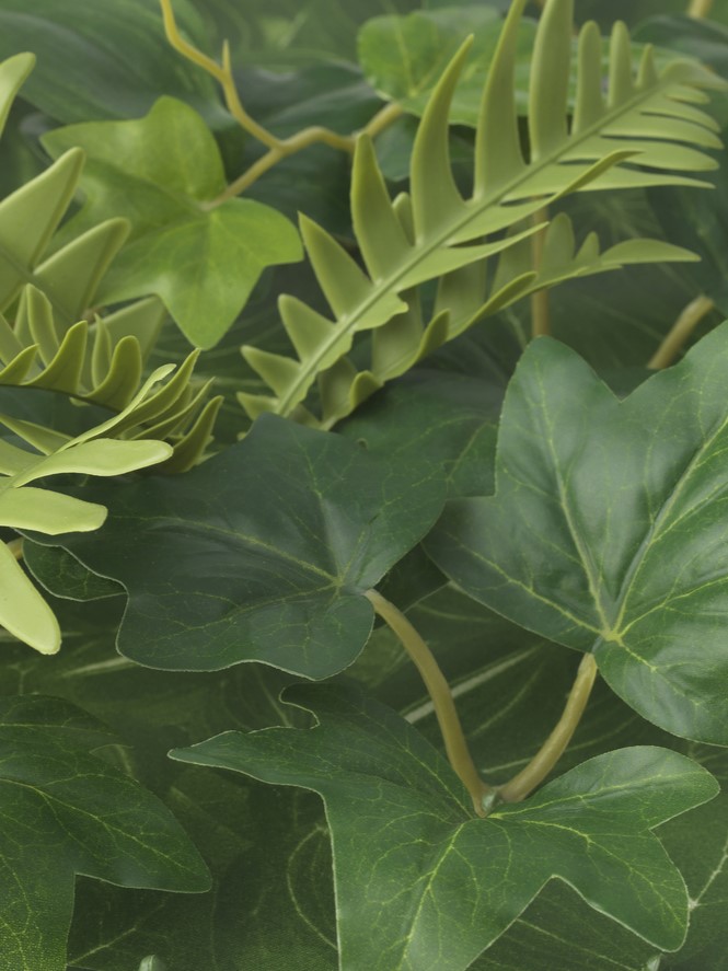 Nahaufnahme verschiedener grüner Blätter, darunter Efeu und Farn, mit unterschiedlichen Formen und Texturen