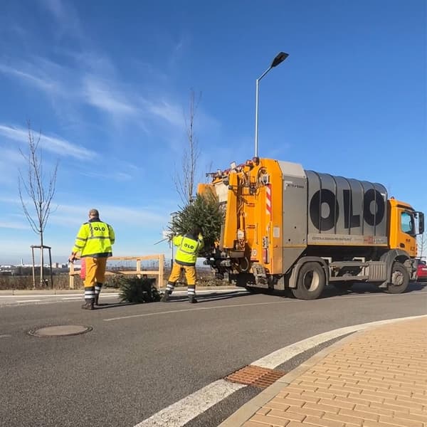 Nákladné auto OLO s pracovníkmi, čo nakládajú stromček. 