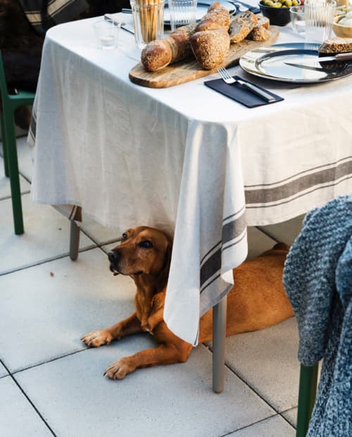 Nappe