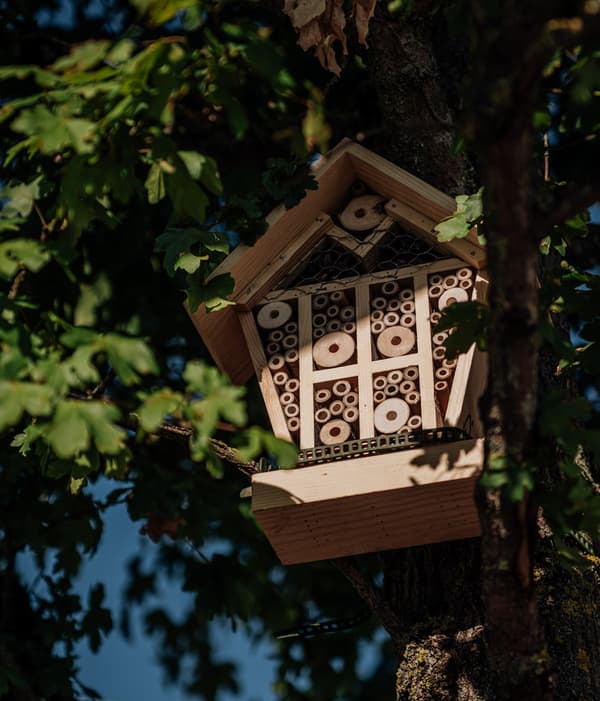 Natürliches Insektenhotel in einem Baum – Förderung der Biodiversität durch IKEA Projekte.