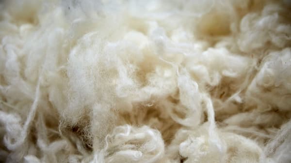 Natural wool material up close. 