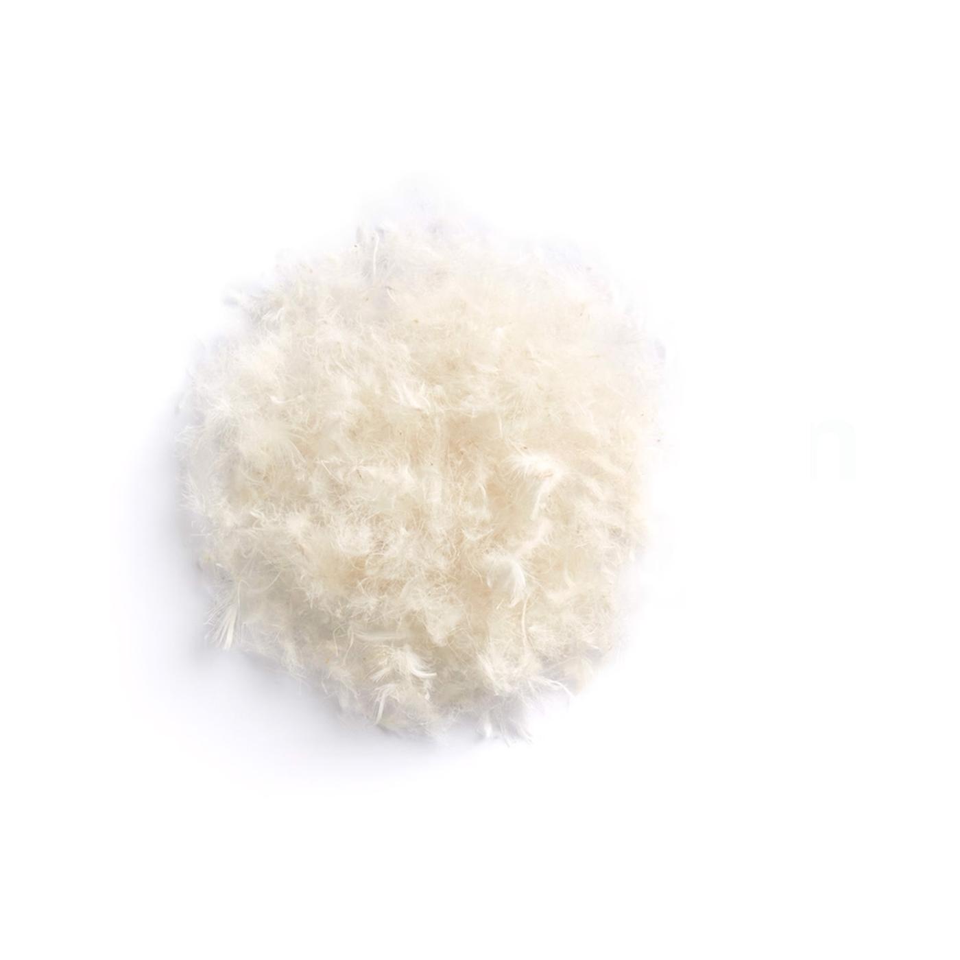 Naturfyld på en hvid baggrund.