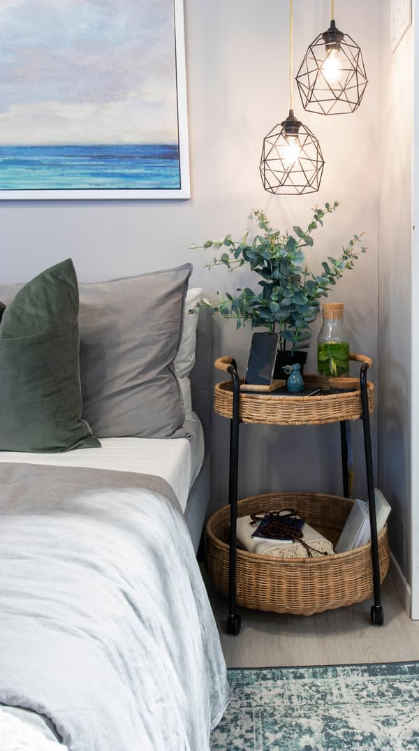 نبتة بغرفة النوم