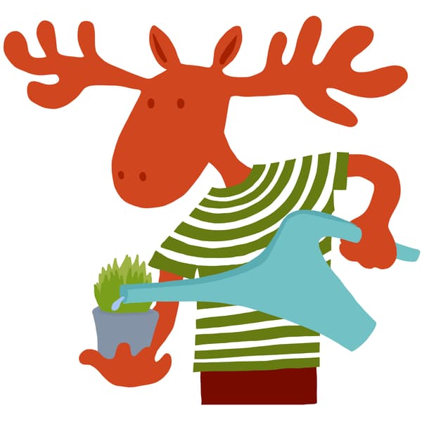 Néhány egyszerű lépés növényneveléshez.