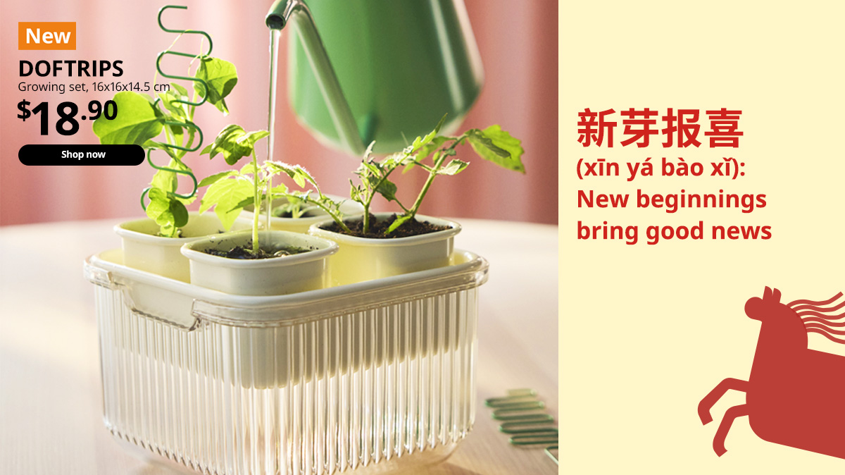 New collection.
DOFTRIPS growing set, transparent/off-white, 16x16x14.5 cm. $18.90