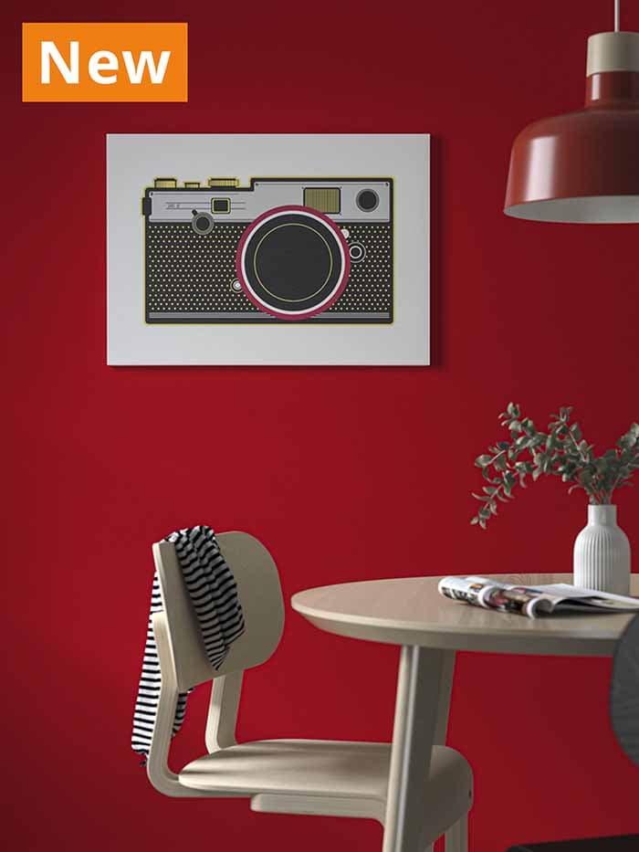 NEW IKEA product. PJÄTTERYD picture of a camera as a decoration hanging on a red wall in the living room.