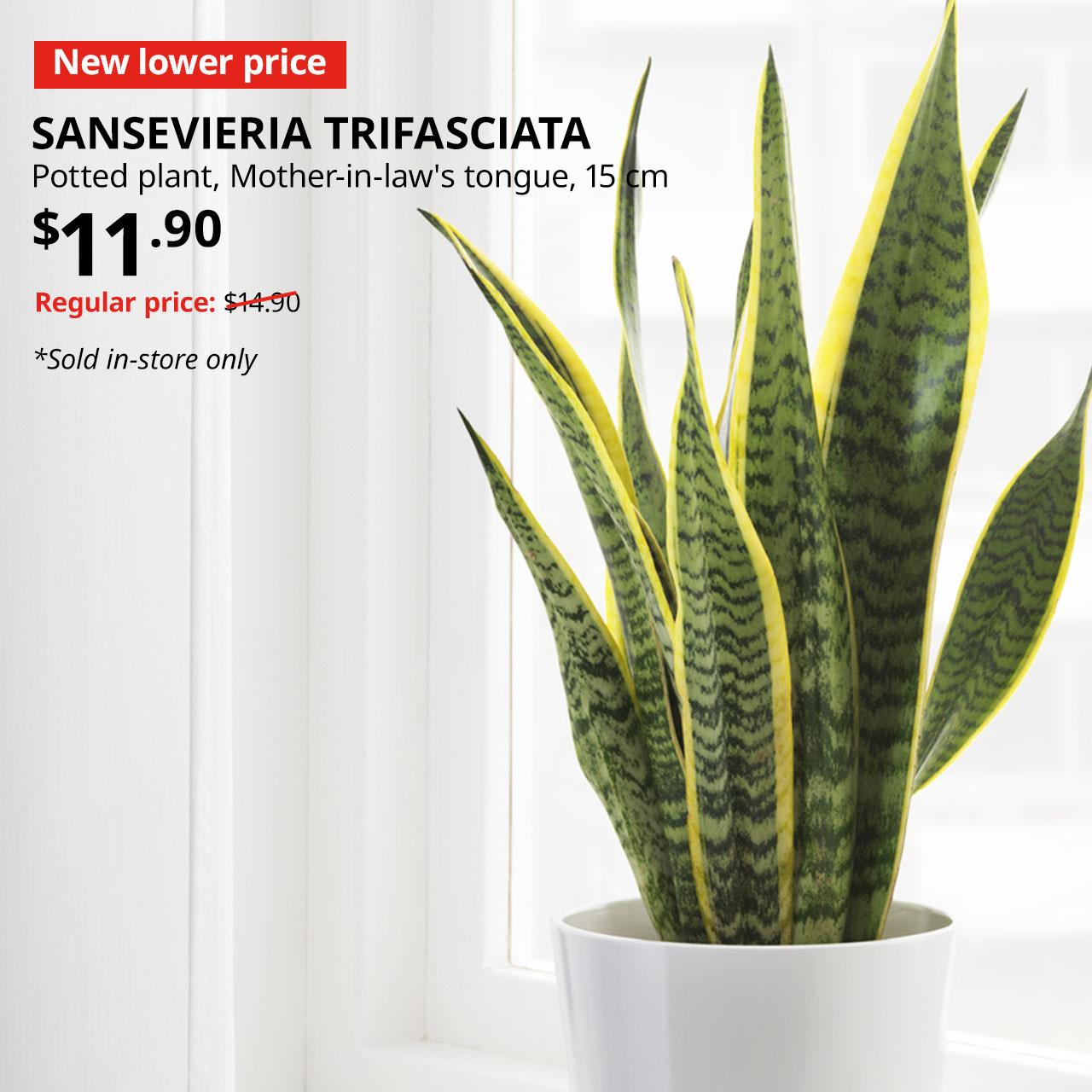 New lower price tag. SANSEVIERIA TRIFASCIATA potted plant, Mother-in-law's tongue, 15 cm. $11.90. Regular price: $14.90