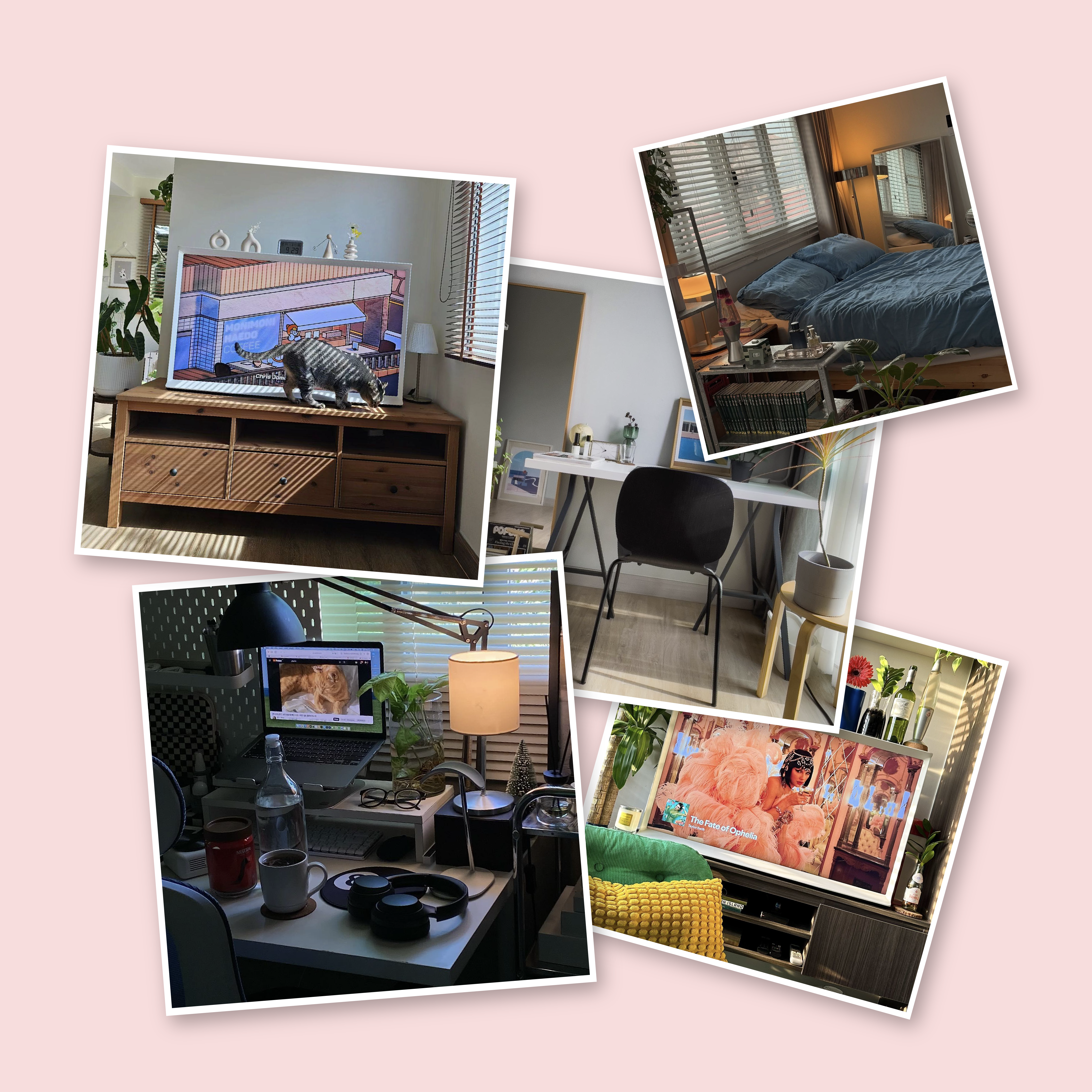 New year, fresh home