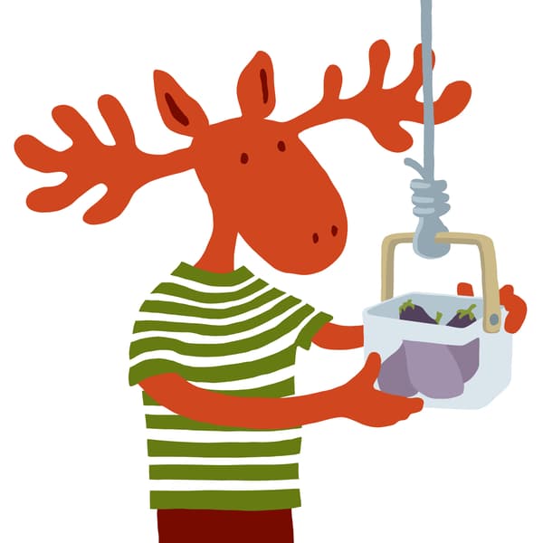 Niekoľko tipov, ako správne skladovať potraviny.