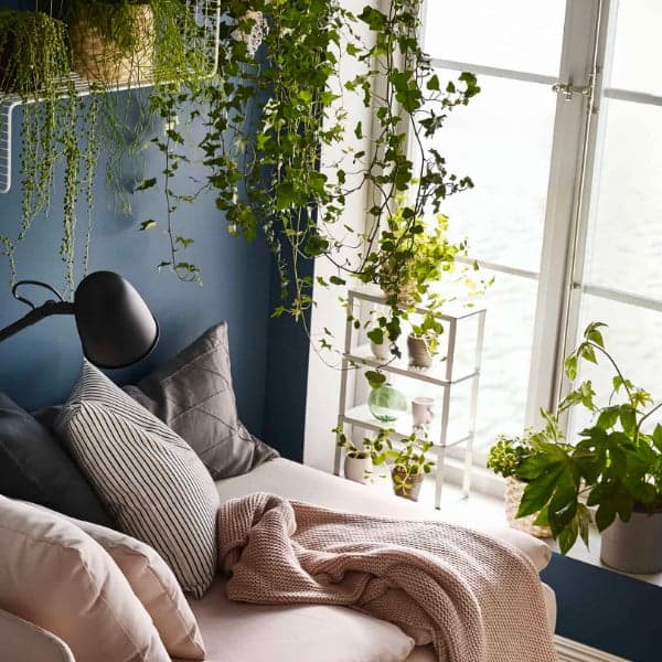 ナチュラル系インテリアに似合う、 観葉植物 - IKEA