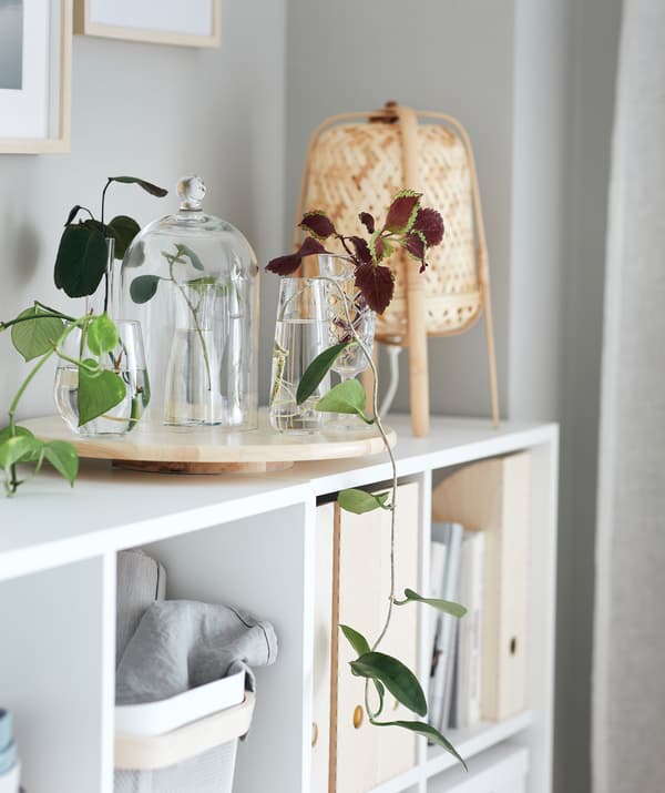 Nízka knižnica v obývacej izbe, na ktorej sú naaranžované odrezky vo vázach usporiadaných na otočnom podnose SNUDDA. 