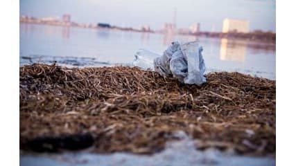 海洋汚染の可能性のあるプラスチックごみに対する次のステップ