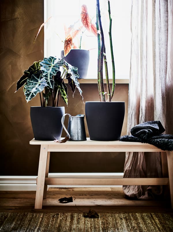 NORRÅKER bænk af birk foran et vindue og 3 store planter i sorte urtepotteskjulere med samme form, men i forskellige størrelser.