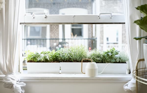 Nyitott ablak, krém és aranyszínű locsolókannával, egy fehér párkányon.