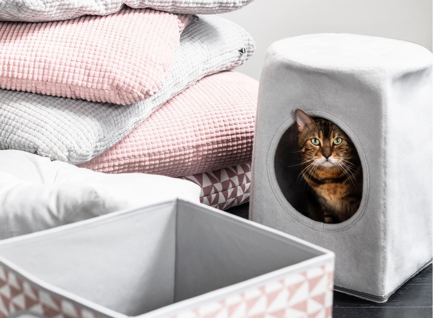 Animale de companie - IKEA