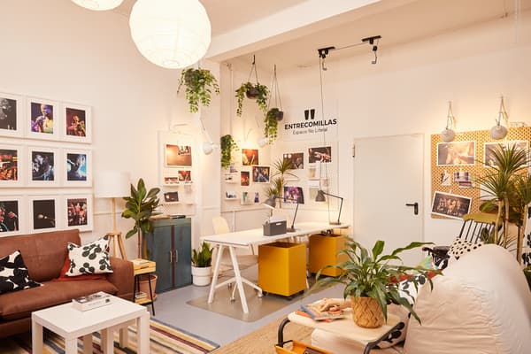 Oficina reformada amb nou escriptori doble i ergonòmic amb plantes penjades.