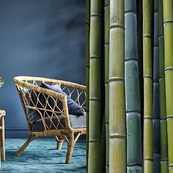 On one side - rattan armchair, on the other - bamboo