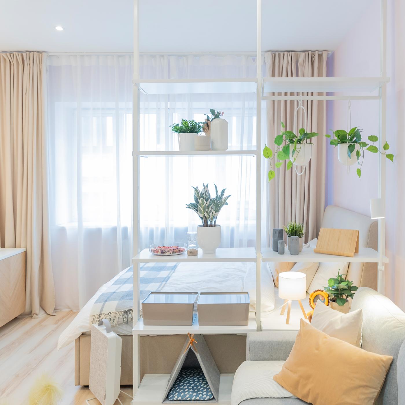 Open shelving with plants separating bedroom and living area