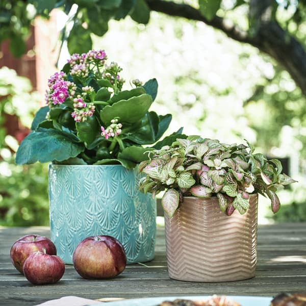 Original and affordable gifts for Mother's Day