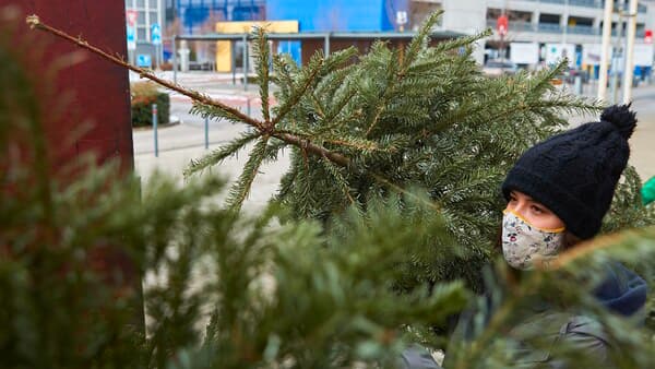 osoba s rúškou, čo nese stromček nazpät do IKEA.