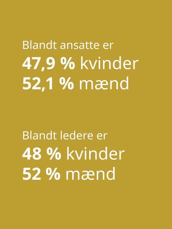 På en sennepsfarvet baggrund står med hvid skrift blandt ansatte er 47 komma 9 procent kvinder 52 komma 1 procent mænd og blandt ledere er 48 procent kvinder og 52 procent mænd.