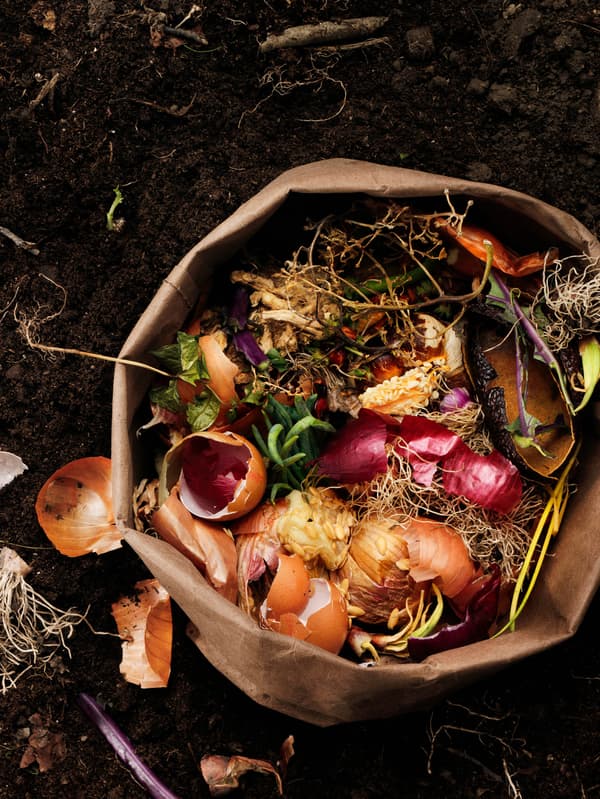 Papierové vrece s bioodpadom v komposte. 