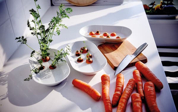 Parsnips and carrots scraps can be grown the same way.