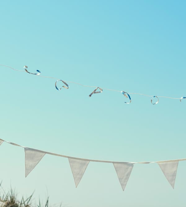 Party decorations hang above the picnic area.
