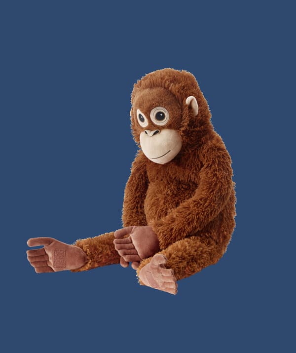 Peluche d'orang-outan sur fond bleu.