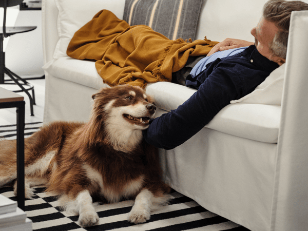 Perro a los pies del sofa donde descansa su dueño mientras lo acaricia