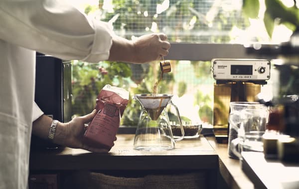 Personne en train de verser du café moulu dans un filtre, sur un plan de travail en bois, avec fenêtre dans le fond laissant entrevoir de la verdure.