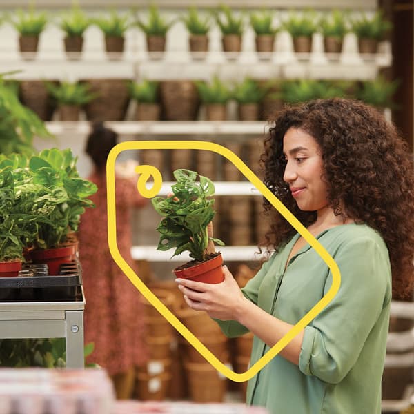 Persoon met krullen en groene shirt houdt plant vast, met potplanten op rekken op de achtergrond.
