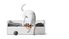 Pet accessories