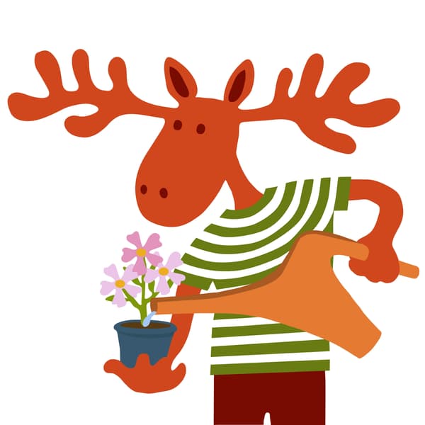 Peták meglocsolja a kezében tartott cserepes virágot.