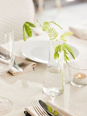 petit vase avec une branche sur une table à manger